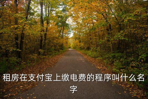 租房在支付寶上繳電費的程序叫什么名字