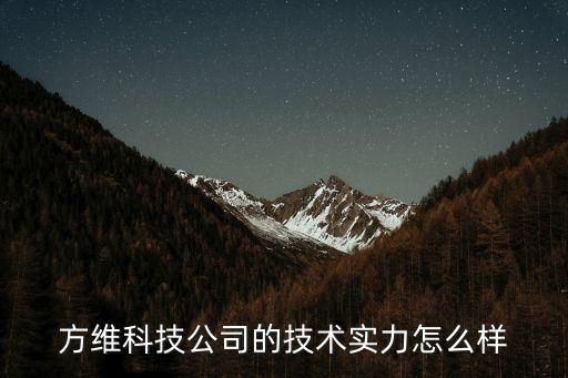 方維科技公司的技術(shù)實力怎么樣