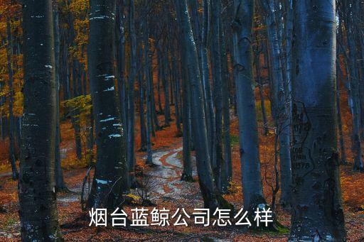 煙臺(tái)藍(lán)鯨公司怎么樣