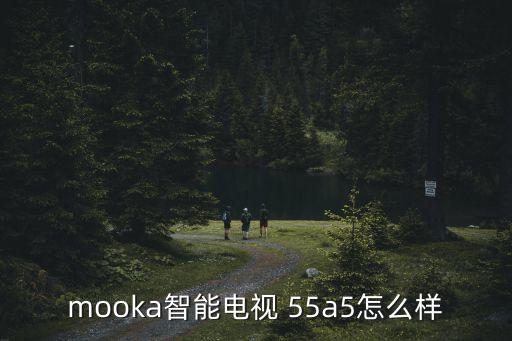 mooka智能電視 55a5怎么樣