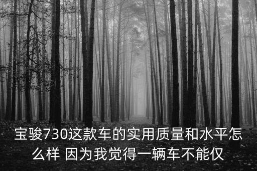 寶駿730這款車的實用質(zhì)量和水平怎么樣 因為我覺得一輛車不能僅