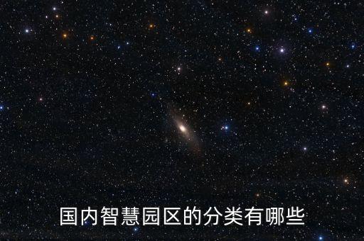 國內(nèi)智慧園區(qū)的分類有哪些