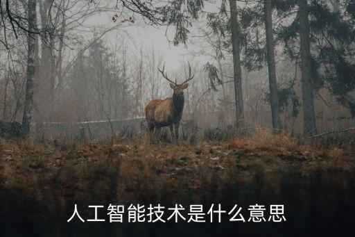人工智能技術(shù)是什么意思