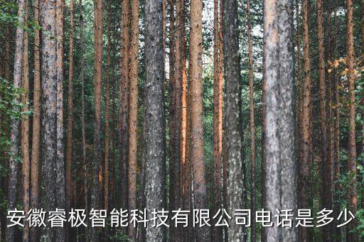 安徽睿極智能科技有限公司電話是多少
