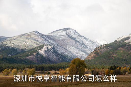 深圳市悅享智能有限公司怎么樣