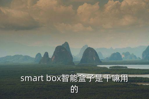 smart box智能盒子是干嘛用的