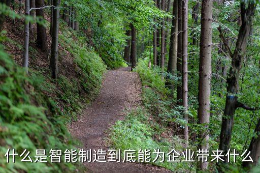 什么是智能制造到底能為企業(yè)帶來什么