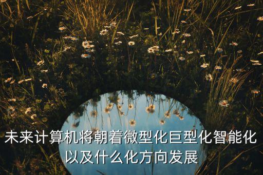 未來(lái)計(jì)算機(jī)將朝著微型化巨型化智能化以及什么化方向發(fā)展