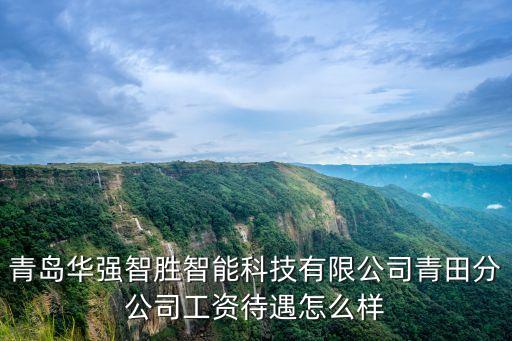 青島華強(qiáng)智勝智能科技有限公司青田分公司工資待遇怎么樣