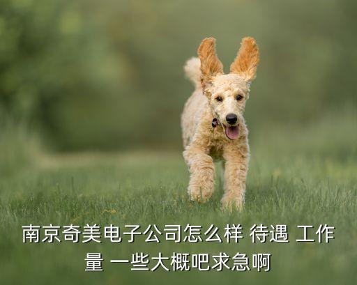 南京斯索智能科技怎么樣，南京奇美電子公司怎么樣 待遇 工作量 一些大概吧求急啊