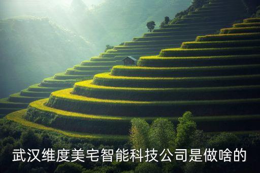 智能科技公司是做什么，武漢維度美宅智能科技公司是做啥的