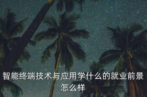 智能終端技術(shù)與應(yīng)用學(xué)什么的就業(yè)前景怎么樣