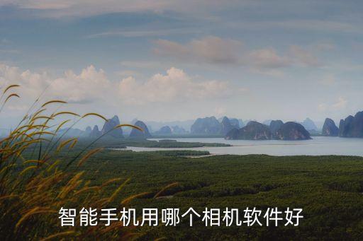 智能手機(jī)用哪個(gè)相機(jī)軟件好