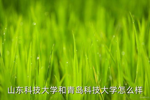 山東惠特智能科技怎么樣，山東河馬信息技術有限公司怎么樣