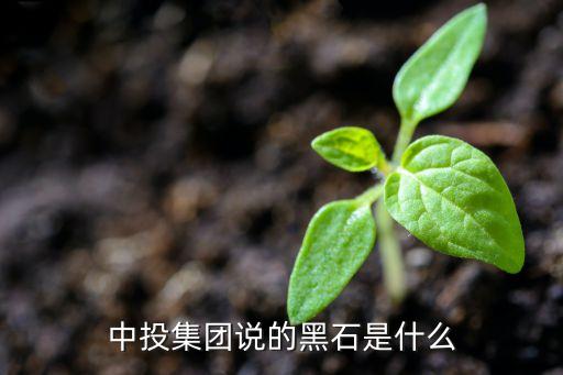 中投集團(tuán)說的黑石是什么