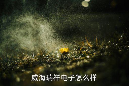 威海瑞祥電子怎么樣