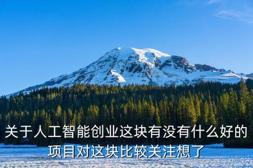 關(guān)于人工智能創(chuàng)業(yè)這塊有沒(méi)有什么好的項(xiàng)目對(duì)這塊比較關(guān)注想了