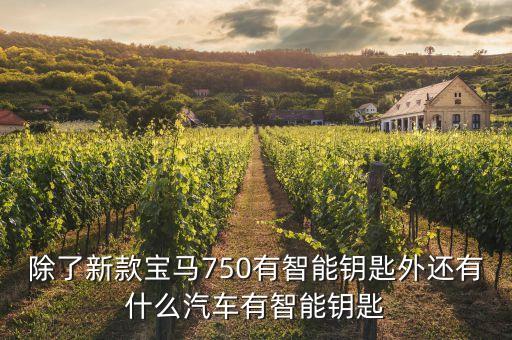 除了新款寶馬750有智能鑰匙外還有什么汽車有智能鑰匙
