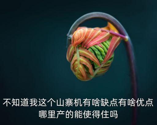 不知道我這個(gè)山寨機(jī)有啥缺點(diǎn)有啥優(yōu)點(diǎn)哪里產(chǎn)的能使得住嗎