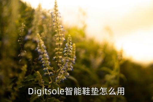Digitsole智能鞋墊怎么用