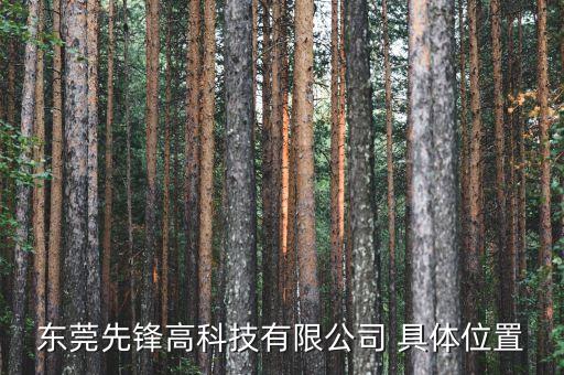 東莞先鋒高科技有限公司 具體位置