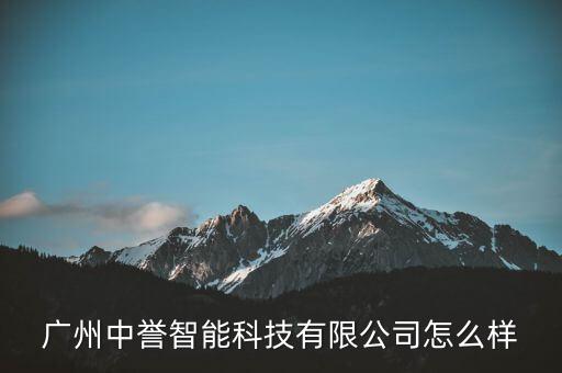 廣州中譽(yù)智能科技有限公司怎么樣