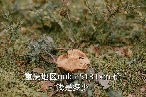 重慶地區(qū)nokia5131xm 價(jià)錢是多少