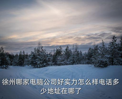 徐州哪家電腦公司好實(shí)力怎么樣電話多少地址在哪了