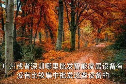 智能家居黑科技哪里拿貨，廣州或者深圳哪里批發(fā)智能家居設備有沒有比較集中批發(fā)這些設備的
