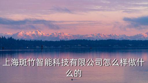 上海斑竹智能科技有限公司怎么樣做什么的