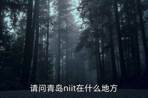 美吉爾智能科技在青島哪里，青島的MEET ALL在哪