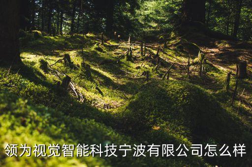 領為視覺智能科技寧波有限公司怎么樣