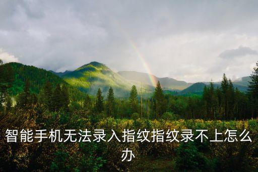 智能手機(jī)無(wú)法錄入指紋指紋錄不上怎么辦