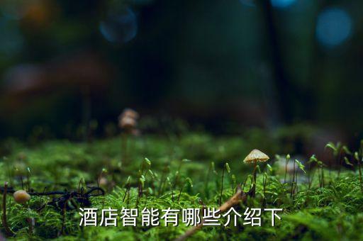 酒店智能有哪些介紹下