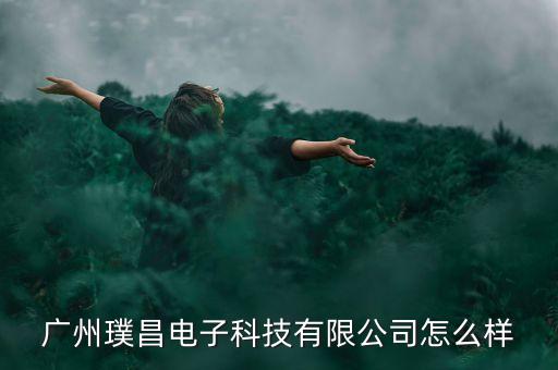 廣州璞昌電子科技有限公司怎么樣