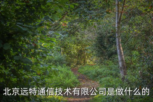 北京遠(yuǎn)特通信技術(shù)有限公司是做什么的