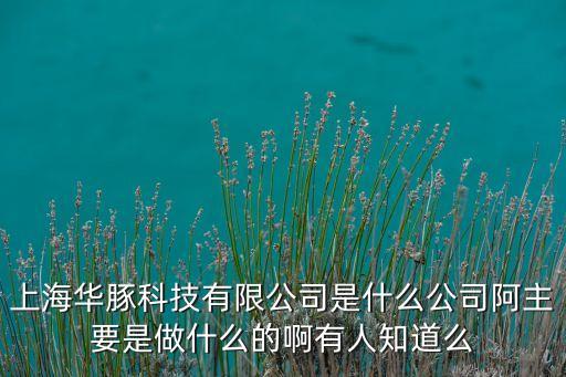 上海華豚科技有限公司是什么公司阿主要是做什么的啊有人知道么