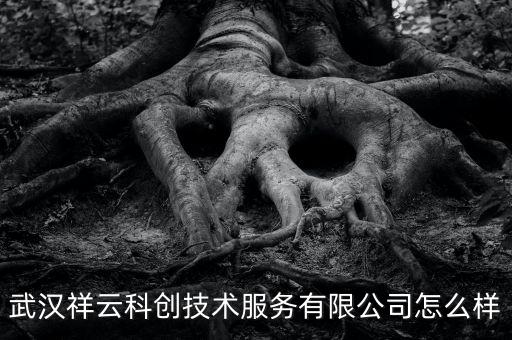 武漢祥云科創(chuàng)技術(shù)服務(wù)有限公司怎么樣