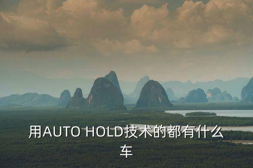 用AUTO HOLD技術(shù)的都有什么車
