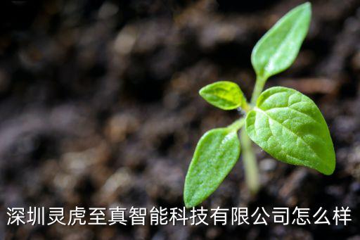 深圳真地智能科技怎么樣，深圳真尚有公司的產(chǎn)品怎樣他們的技術(shù)人員怎樣