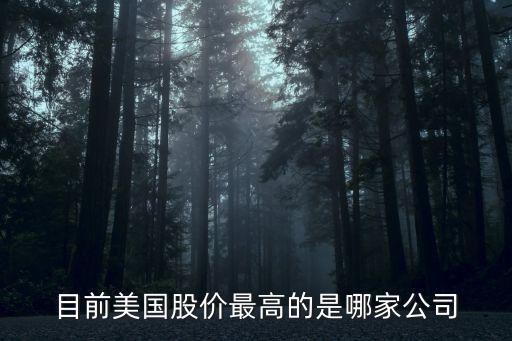 目前美國股價(jià)最高的是哪家公司