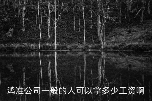 鴻準(zhǔn)公司一般的人可以拿多少工資啊