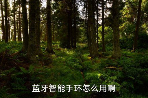 如何使用黑科技智能手環(huán)，智能手環(huán)怎么用啊用于什么功能