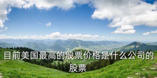 美國智能科技哪個股價最高，目前美國股價最高的是哪家公司