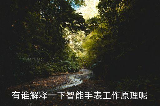 智能科技手表設(shè)計(jì)理念有哪些，有誰(shuí)解釋一下智能手表工作原理呢