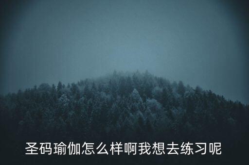 圣碼智能科技怎么樣，圣碼瑜伽怎么樣啊我想去練習(xí)呢