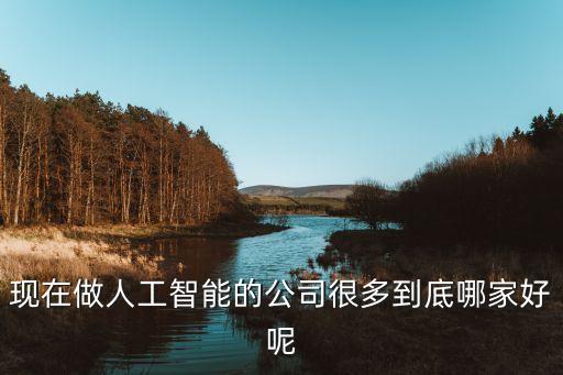 人工智能與黑洞科技哪個(gè)好，現(xiàn)在做人工智能的公司很多到底哪家好呢