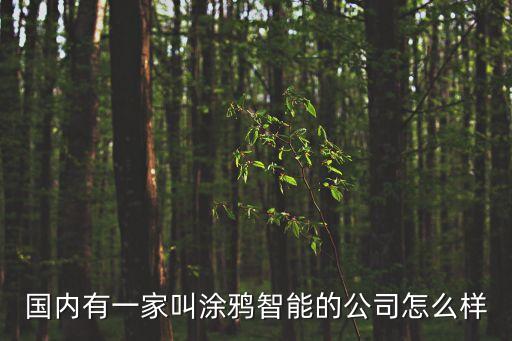 國(guó)內(nèi)有一家叫涂鴉智能的公司怎么樣