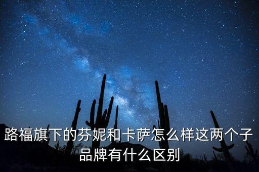 芬妮智能科技怎么樣，路福旗下的芬妮和卡薩怎么樣這兩個子品牌有什么區(qū)別
