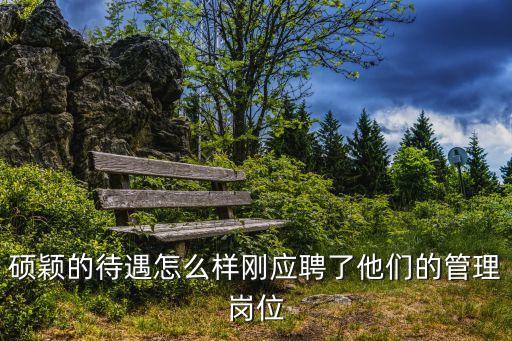碩磐智能科技薪資多少，請(qǐng)問廣州市研祥智能科技有限公司內(nèi)部做技術(shù)的一個(gè)月薪水在什么范圍